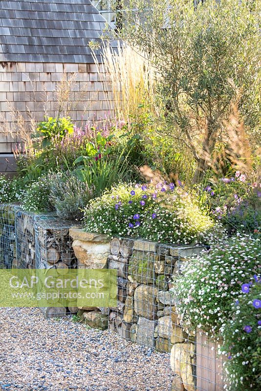 View of pub garden with late summer border, stone wall bed and gravel path with raised beds. Jo Thompson garden Design, Ticehurst, East Sussex 