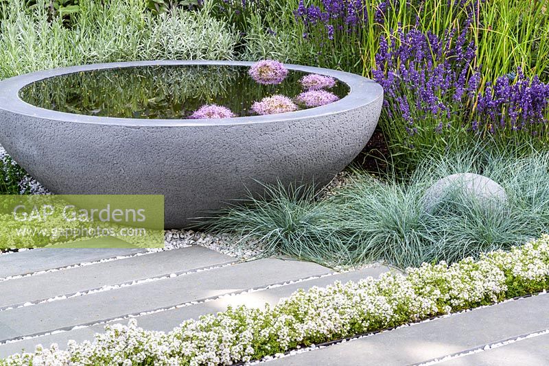A small round elevated concrete pond with allium heads surrounded by planting of Lavandula angustifolia and Festuca glauca in Living Landscapes: Healing Urban Garden, RHS Hampton Court Palace Flower Show 2015. Designer Rae Wilkinson