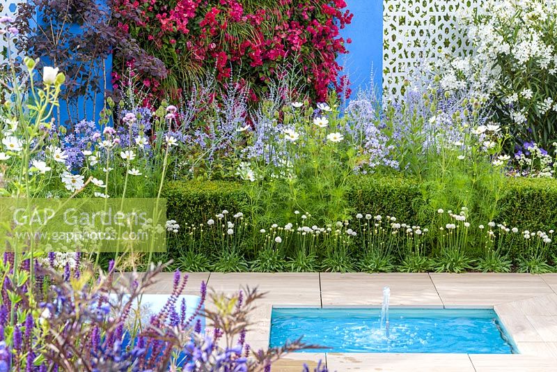 A living wall with crimson bougainvillea against  blue background and Nerium oleander alba against white pierced aluminium panel and pond in Noble Caledonia garden, Spirit of the Aegean, RHS Hampton Court Palace Flower Show 2015. Designed by Esra Parr