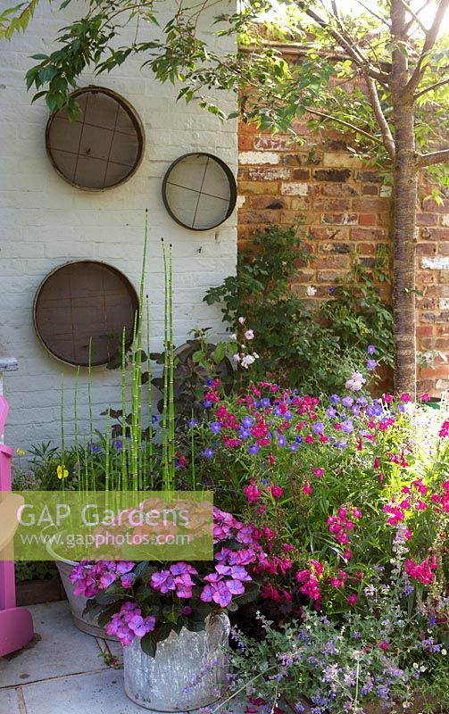 Old garden sieves on wall with containers of hydrangea and horsetail reed