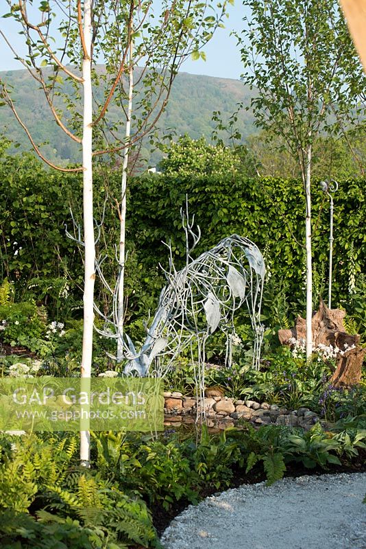 Metal stag drinking from a pond with Betula utilis - Buckfast Abbey Millennium Garden, RHS Malvern Spring Festival 2017 - Design: Maia Hall