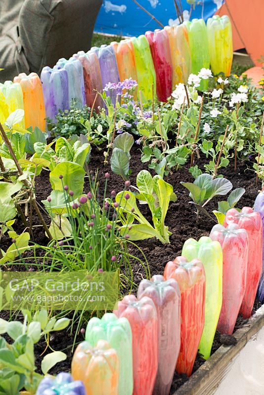 Recycled painted plastic bottles, creating a border to a raised bed vegetable garden, Team AK's Grand Day Out, RHS Malvern Spring Festival 2017 - Design: Ashton Keynes Church of England Primary School