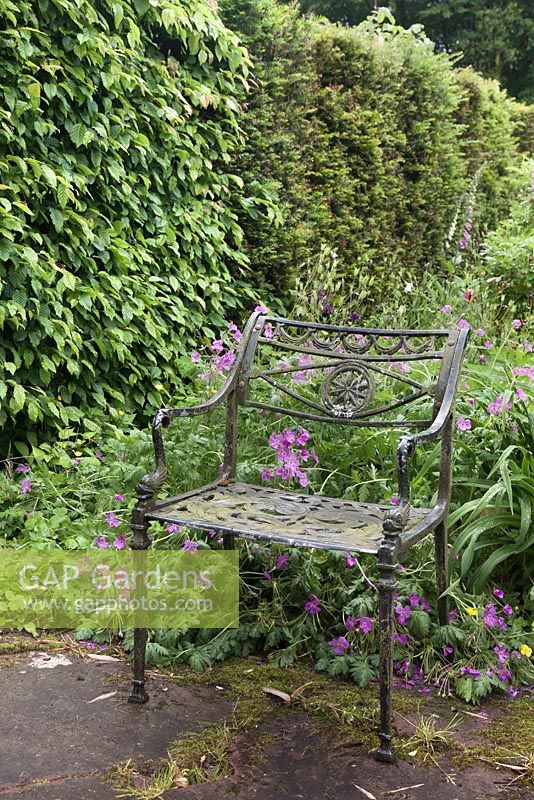 Traditional wrought iron chair in garden - July, Craigieburn, Moffat, Scotland