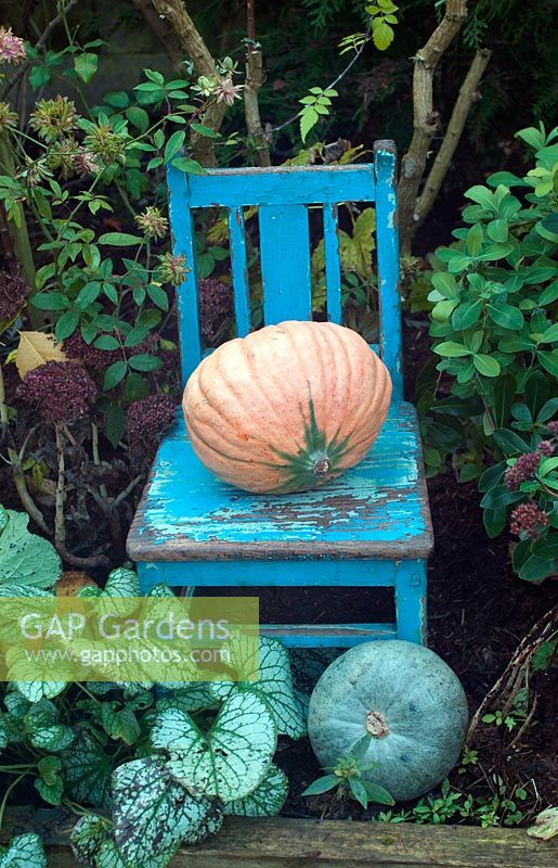 Painted blue chair with pumpkins