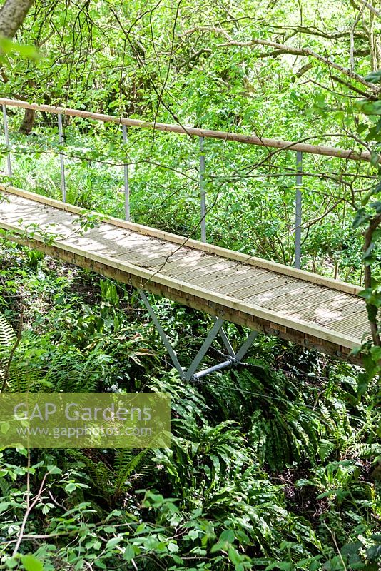 Wooden bridge over stream. Streamside dominated by Asplenium scolopendrium. Special Plants Nursery, near Bath, UK. Owned and run by Derry Watkins. May