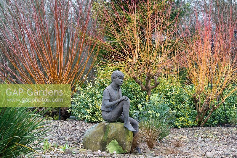Boy statue set against backdrop of red and orange winter stems, Salix var. vitellina Britzensis.
