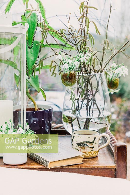 Coffee table in conservatory with lantern, vase with hazel twigs and snowdrops in miniature vases, book and mug - January, France