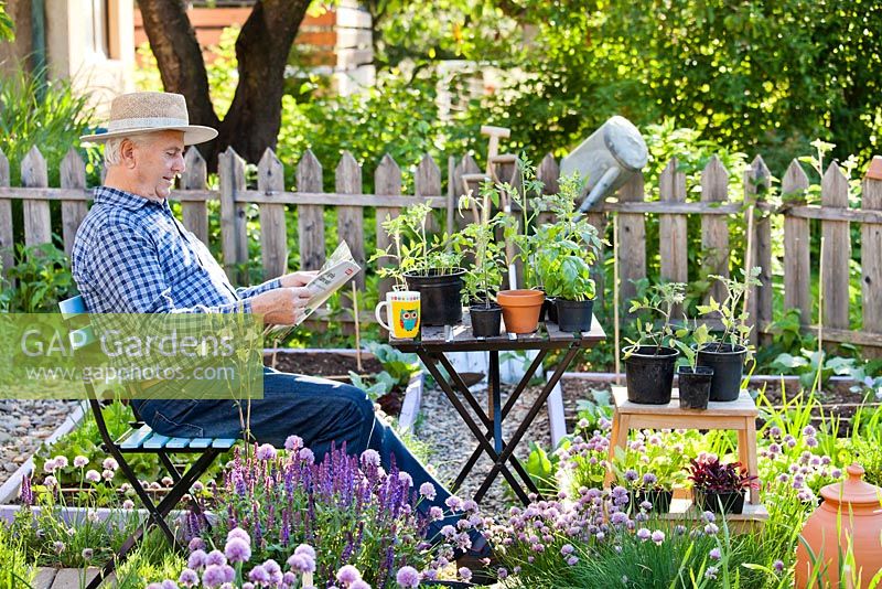 Man relaxing with cup of tea and a garden magazine in spring vegetable and herb garden.