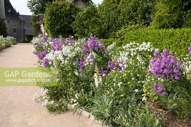 Chaumont front borders 2017 - Festival International des Jardins 2017, Domaine de Chaumont sur Loire, France - predominantly white and pink planting combination alongside gravel paths, with various stocks, honesty, foxgloves