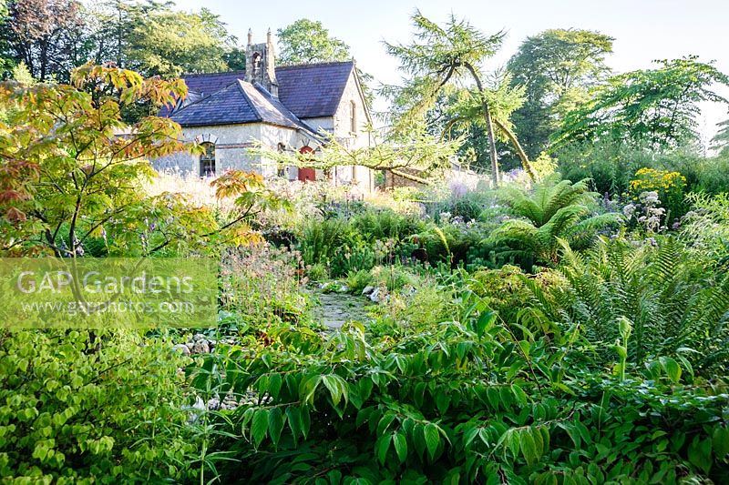 Former steward's house viewed from the woodland garden planted with ferns, acers and all sorts of choice, shade loving plants.