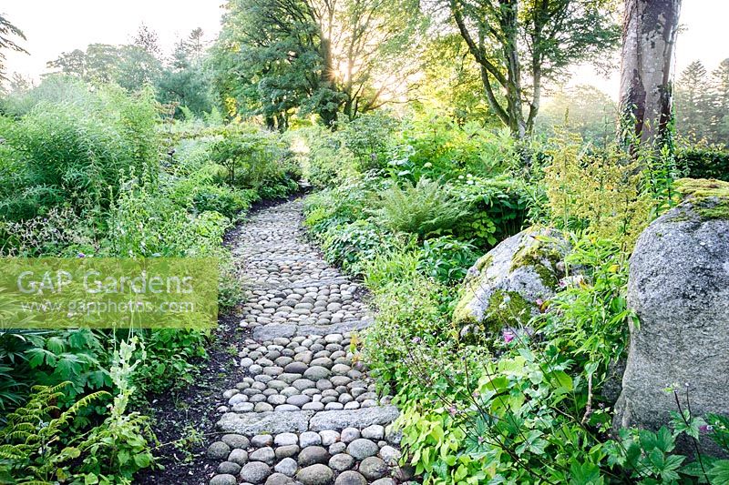 A path of cobbles and stone edged with epidmedium leads through the woodland garden planted with hellebores, ferns, veratrum, Solomon's Seal and many other choice plants.