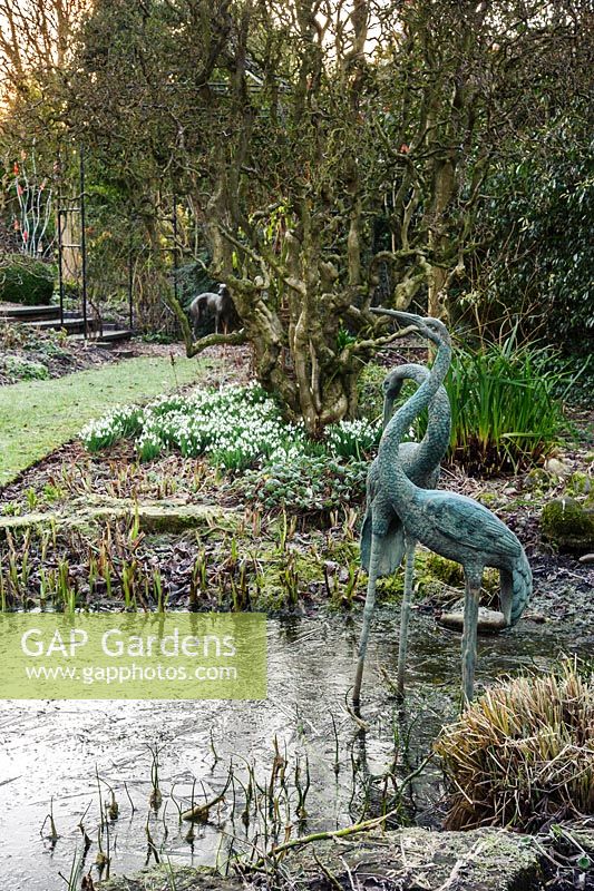 A pair of ornamental cranes in the pond at Windy Ridge, Little Wenlock, Shropshire, UK