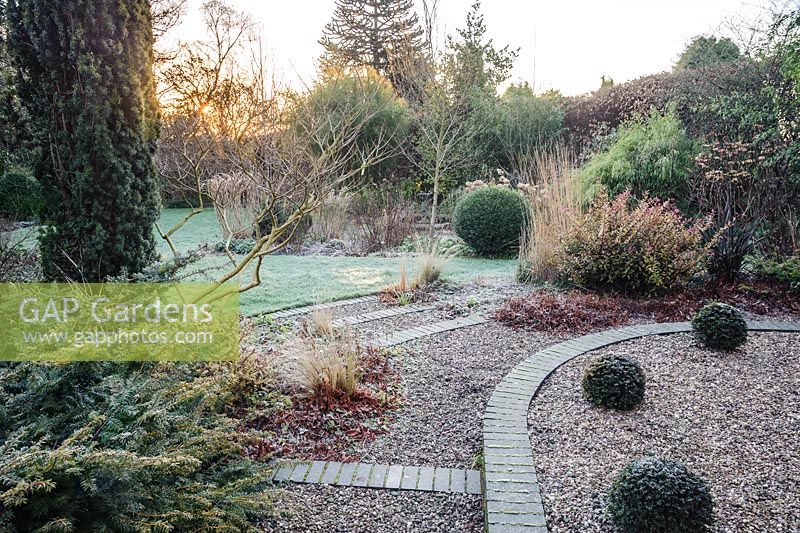 Grey sets edge gravel steps in the front garden with clipped yew spheres and shrubs in surrounding beds including box, Pseudowintera colorata 'Marjorie Congreve', bamboos and grasses. Windy Ridge, Little Wenlock, Shropshire, UK