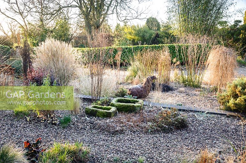 Gravel garden in front of the house includes many grasses and herbaceous perennials plus black Ophiopogon planiscapus 'Nigrescens' and a metal sheep sculpture with moss covered troughs in the foreground. Windy Ridge, Little Wenlock, Shropshire, UK