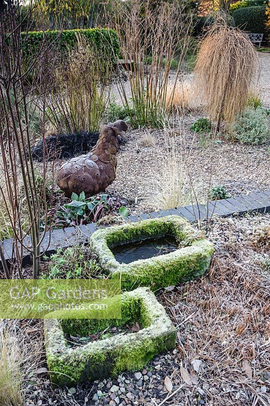 Gravel garden in front of the house includes small trailing conifer Larix decidua 'Puli', Ophiopogon planiscapus 'Nigrescens' and grasses, with moss covered troughs in the foreground. 'Windy Ridge, Little Wenlock, Shropshire, UK
