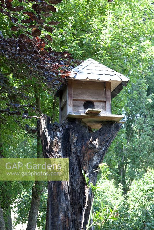 Birdhouse on top of an old tree.