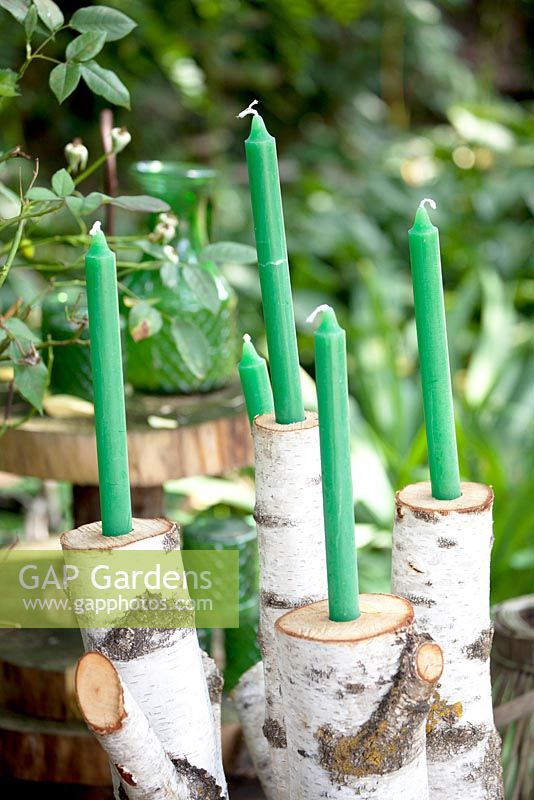 Green candles in rustic branch candle stick holders