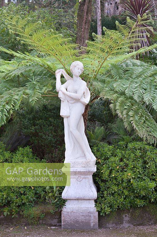 Classical stone statue with tree ferns - The Quinta da Regaleira, Sintra, Portugal
