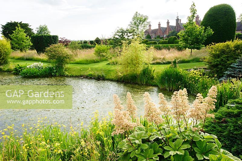 Garden pond fringed with rodgerias, primulas and bamboos, with house beyond. Felley Priory, Underwood, Notts, UK