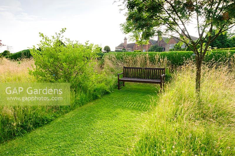 Paths are mown between long meadow grasses, here giving access to a wooden bench.  Felley Priory, Underwood, Notts, UK