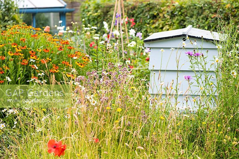 Informal country cottage garden with wildflower area and traditional Beehive.