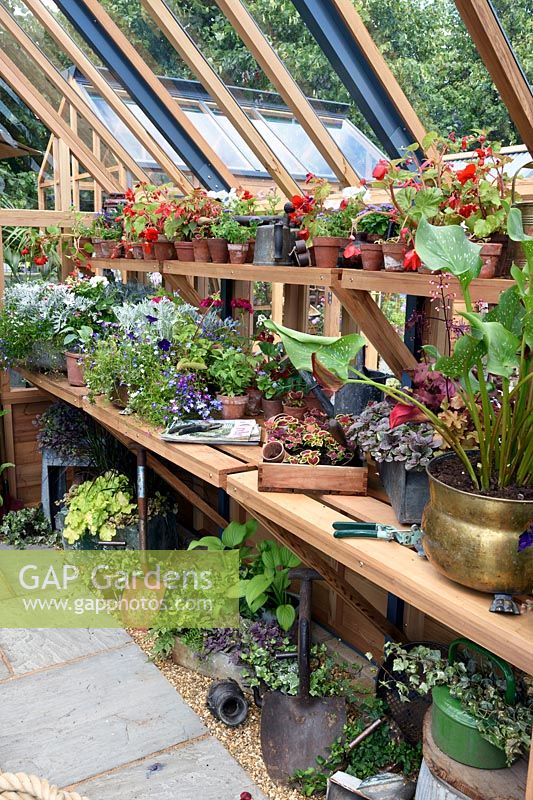 Flower pots in a timber frame greenhouse. Design: Gabriel Ash. RHS Hampton Court Palace Flower Show 2017
