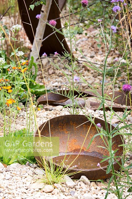 Hampton Court Flower Show, 2017. Brownfield Metamorphosis Garden, des. Martyn Wilson. Rusted metal bowl in gravel garden