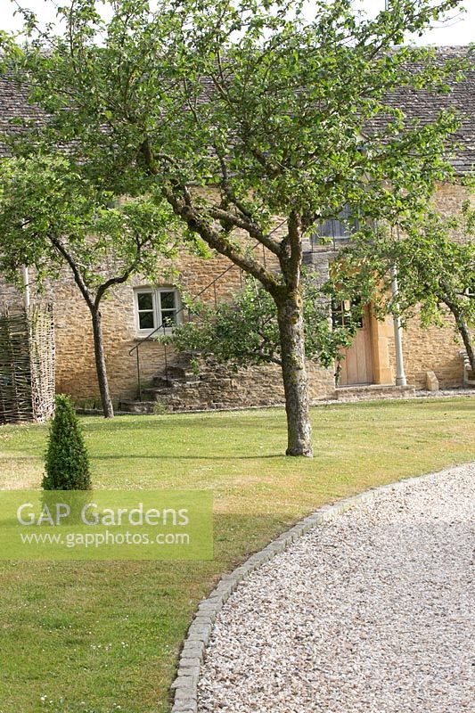 Thyme House pathway with fruit trees