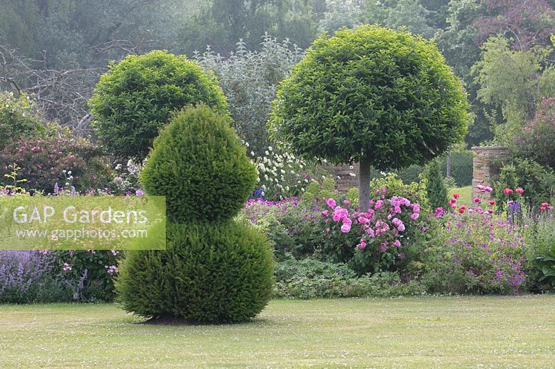Lawn and border with topiary