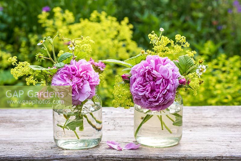 Pink roses in glass jar with fragaria vesca and alchemilla mollis