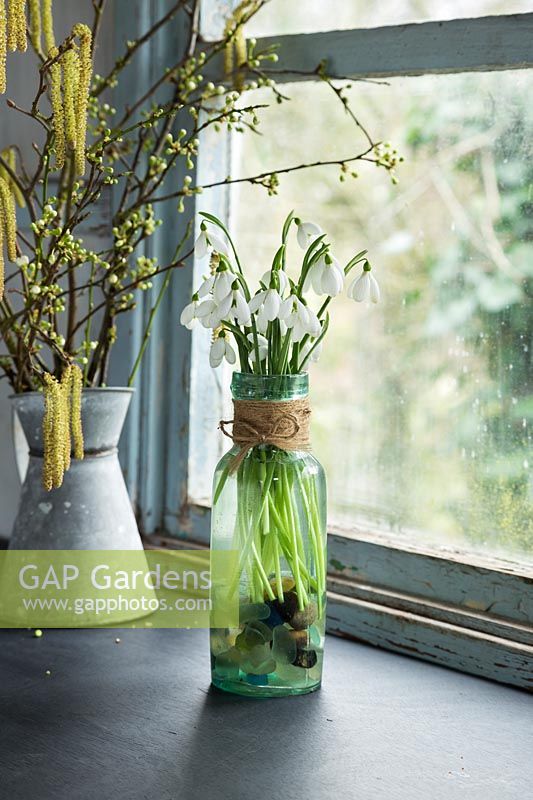 Decorative Galanthus in glass bottle on window