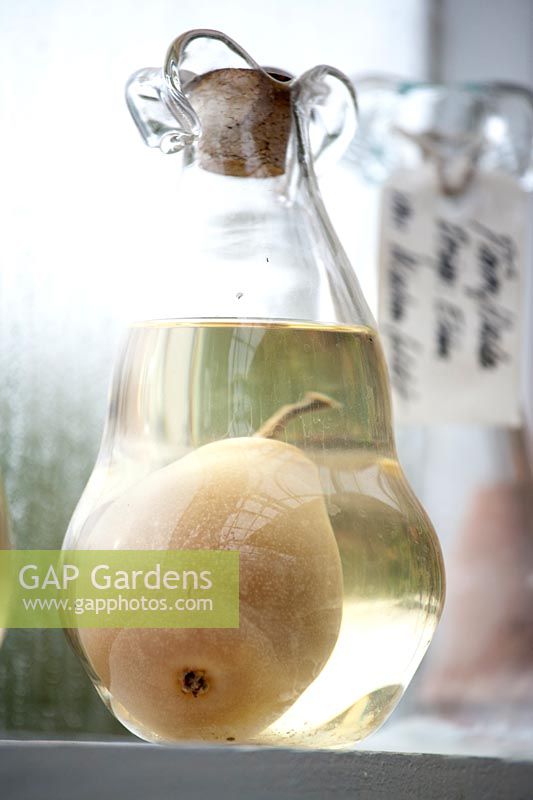 Pear in glass bottle. Rosendals Tratgard. Stockholm. Sweden