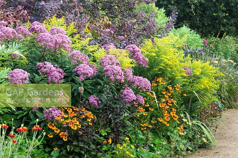 Perennial flower border at Parham