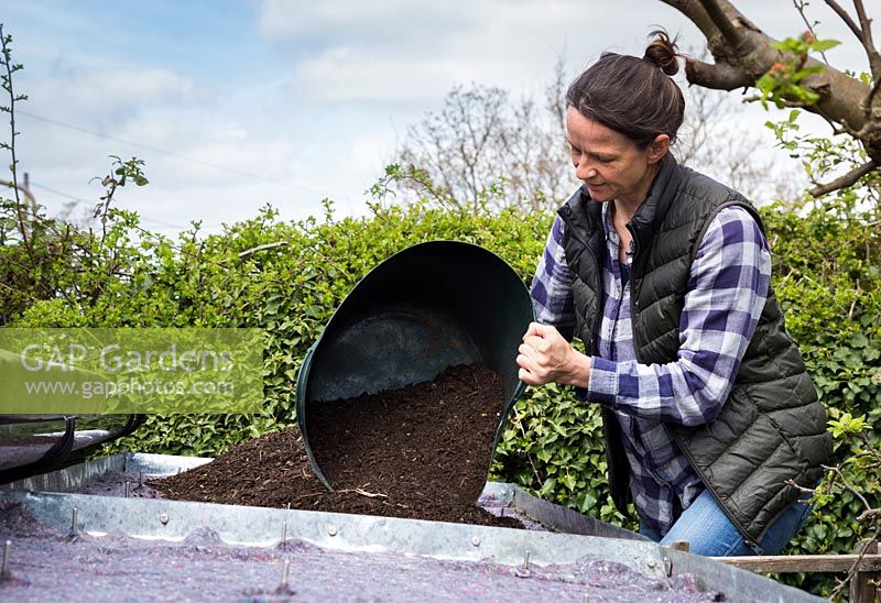Woman spreading compost over the living roof