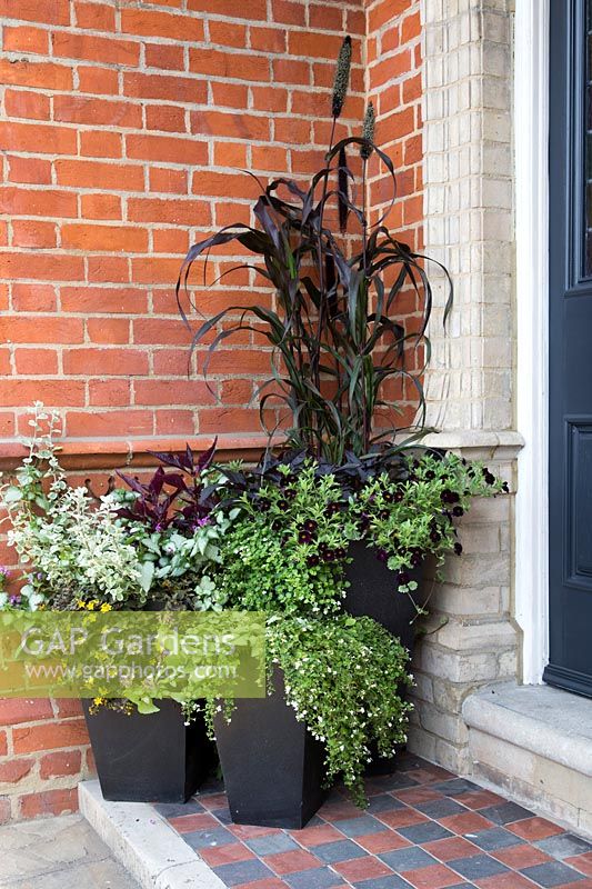 Contemporary containers with white and dark foliage bedding by front door