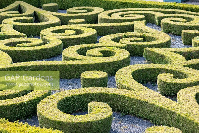 Detail of topiary pattern at Chateau de Brecy, Normandy, France