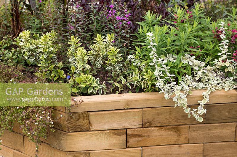 Summer planted wooden raised bed