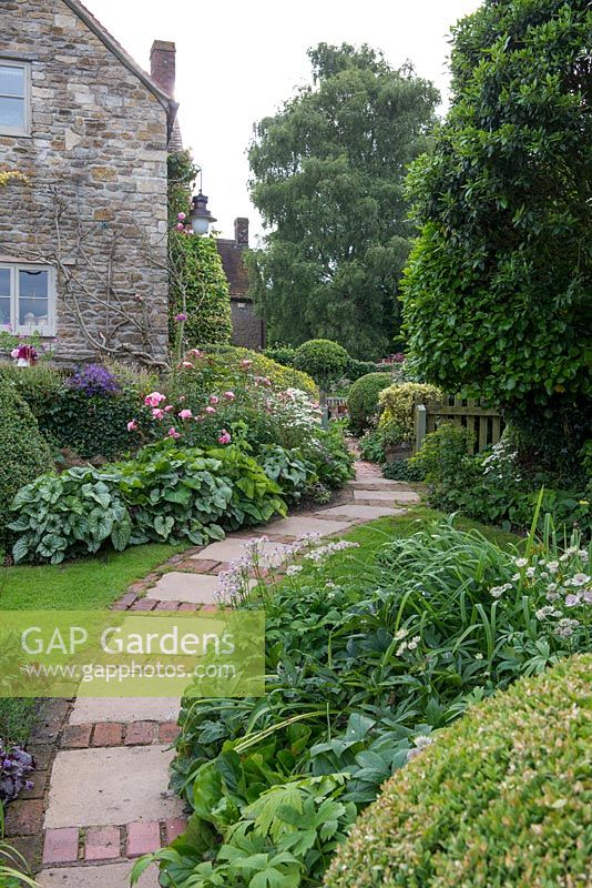 View up the garden path, with clipped Box, Astrantia, Hemerocallis and foliage of Hellebores and Brunnera 'Jack Frost'
