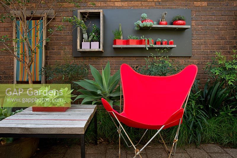 A recycled timber table and retro style red canvas butterfly chair. Behind, a collection of ceramic pots mounted on a black timber panel planted with cactus and succulents.