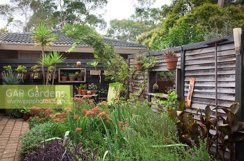 Wide shot of a cottage garden bed looking back towards the house enclosed by a recycled freestanding timber wall, featuring pots mounted to the walls planted with succulents.