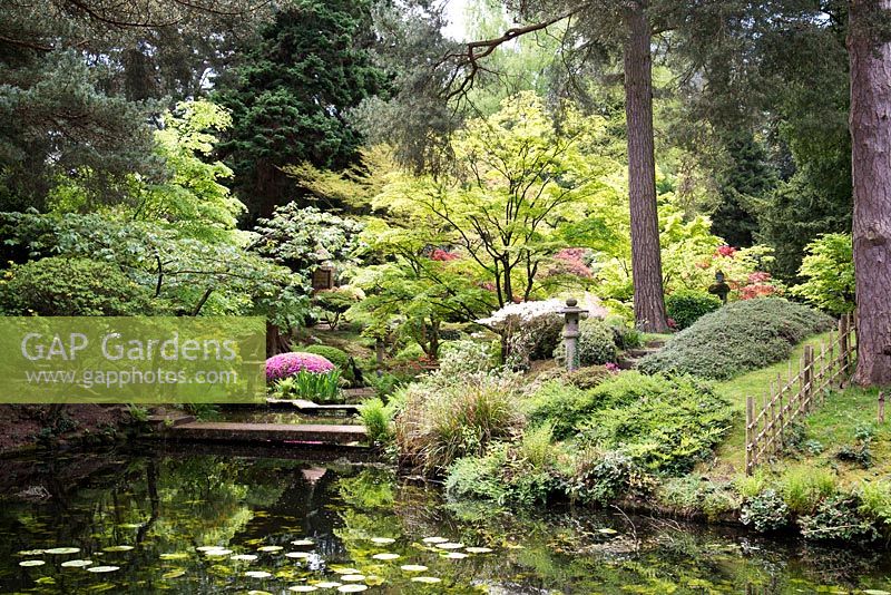 The Japanese garden, Tatton Park, Cheshire.