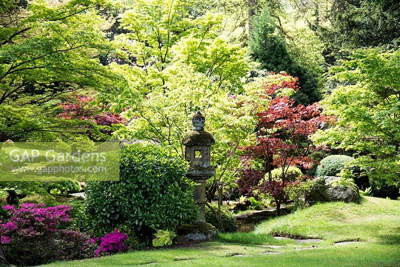The Japanese garden, Tatton Park, Cheshire