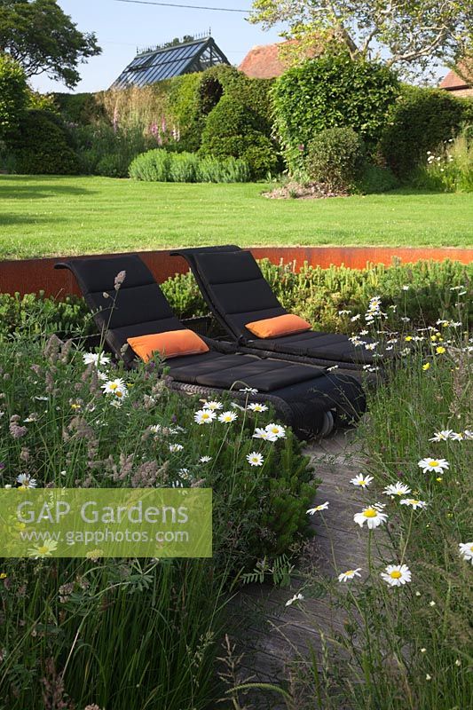 Modern rattan sun loungers on oak decking surrounded by meadow borders with Ox Eye Daisies, Pinus mugo hedge in front of rusted Corten steel walls. Behind, lawn, topiary shrubs and greenhouse.