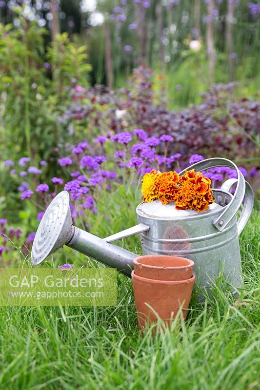 Watering can with summer flowers