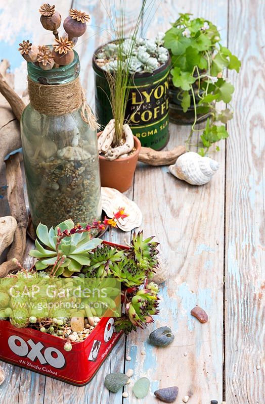 Arrangement with vintage tins and succulents