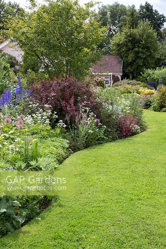 Curved lawn with tiered herbaceous border in June