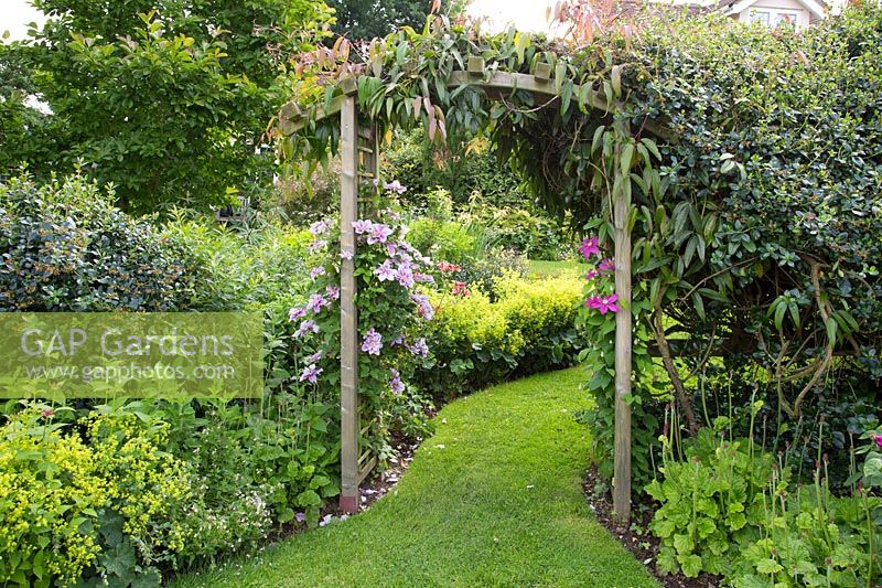 Wooden arch with Clematis