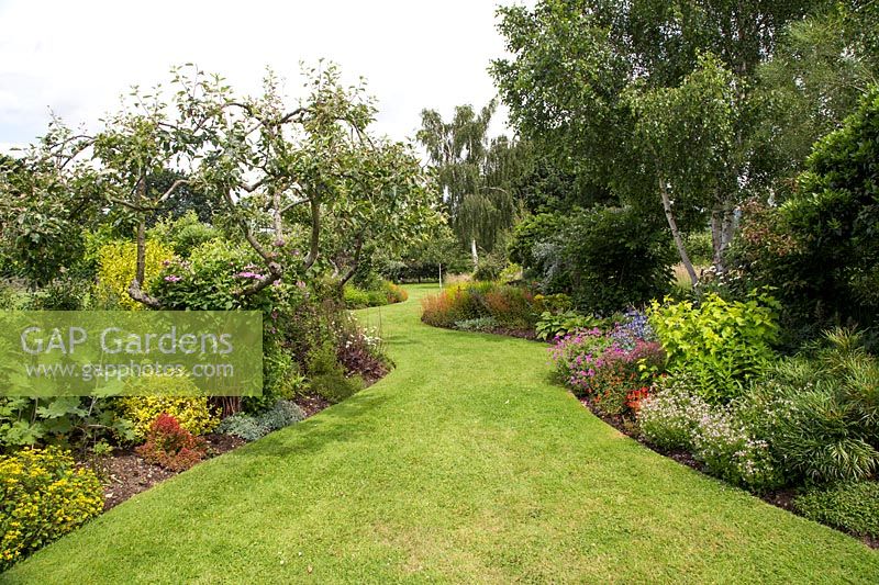 Curved lawn leading through mixed herbaceous border with trees