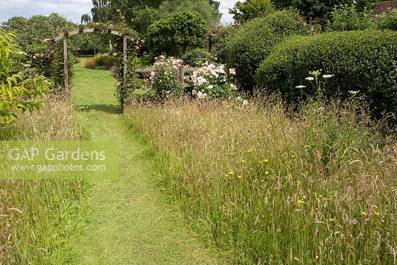 Mown path leading to rose arch