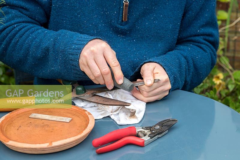Gardener sharpening shears - Oxfordshire - August